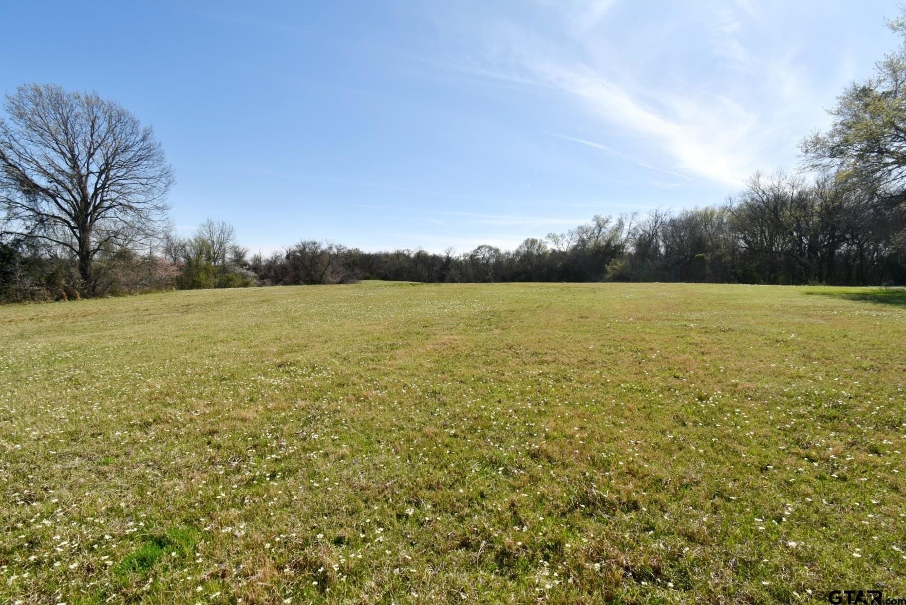 16.27 acres in Rains County - photo 23