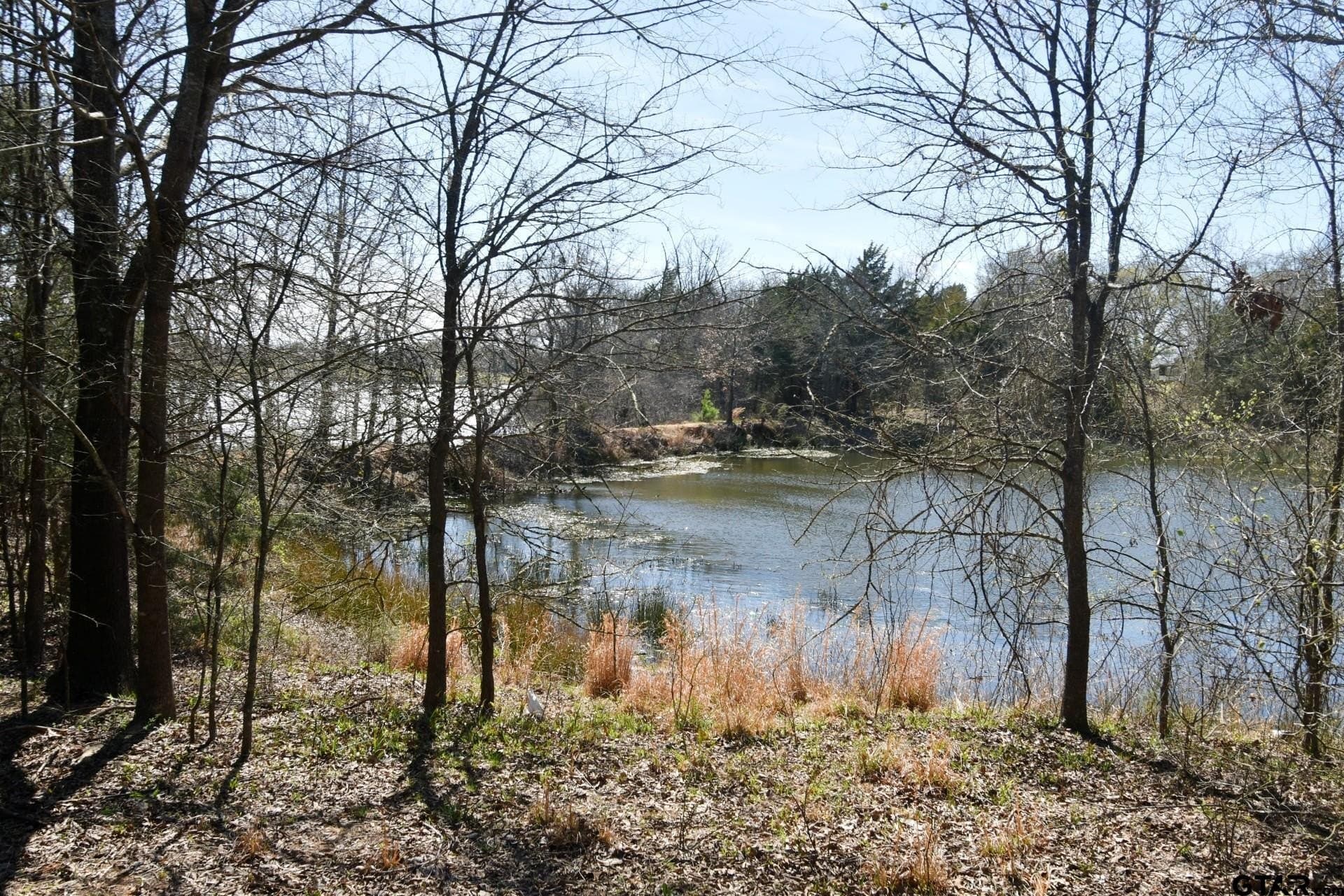 16.27 acres in Rains County - photo 9
