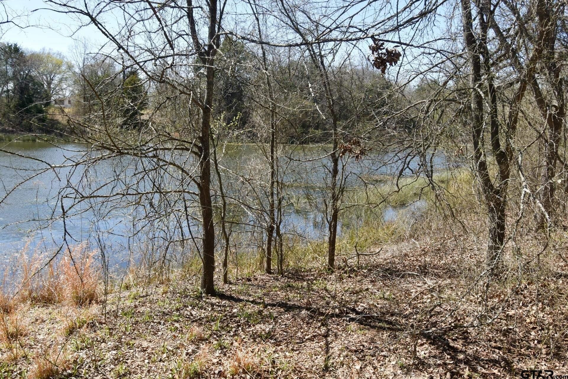 16.27 acres in Rains County - photo 10