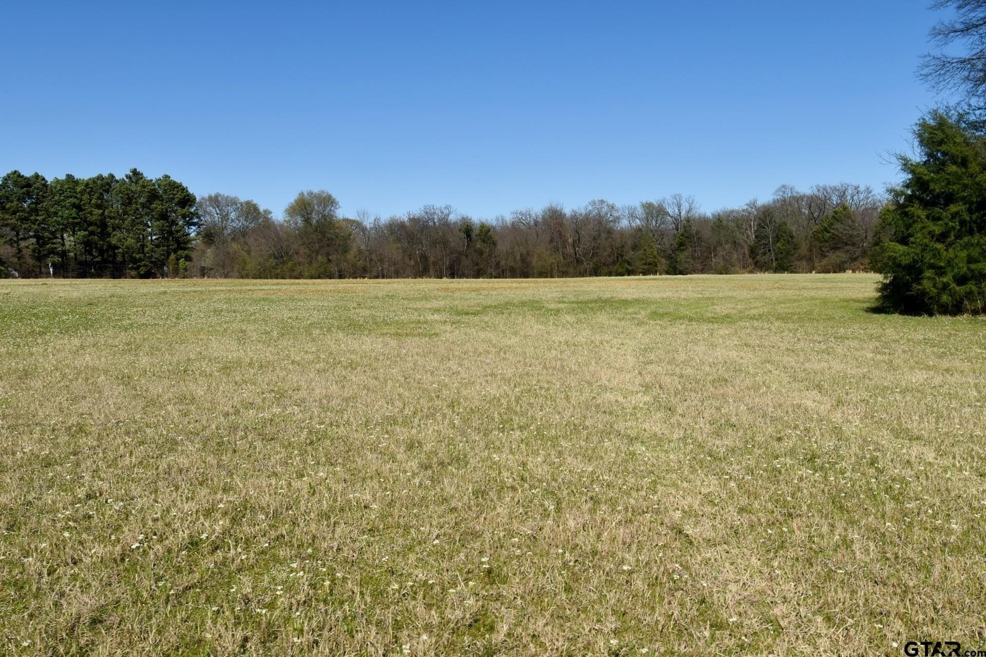 16.27 acres in Rains County - photo 21