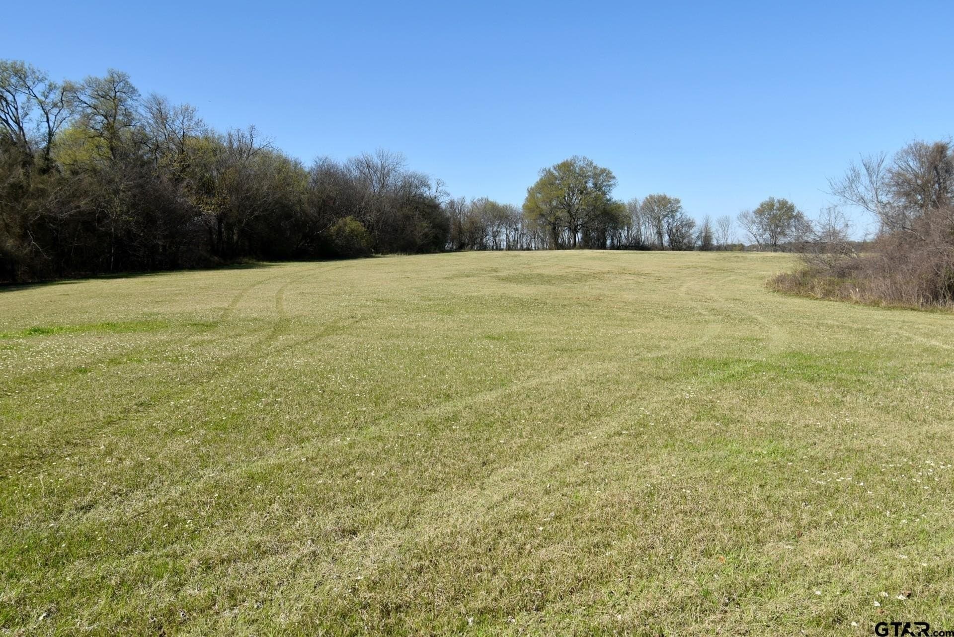 16.27 acres in Rains County - photo 22