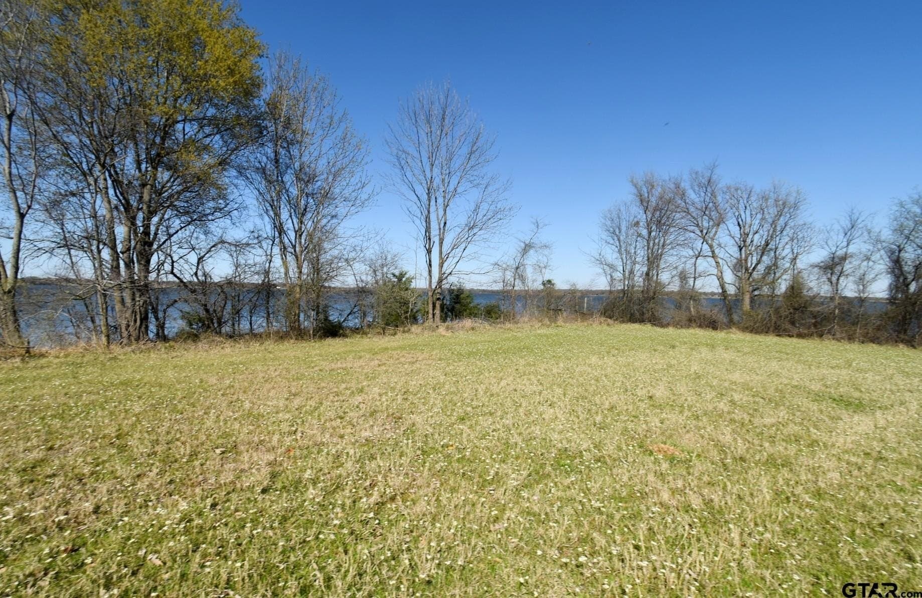 16.27 acres in Rains County - photo 13