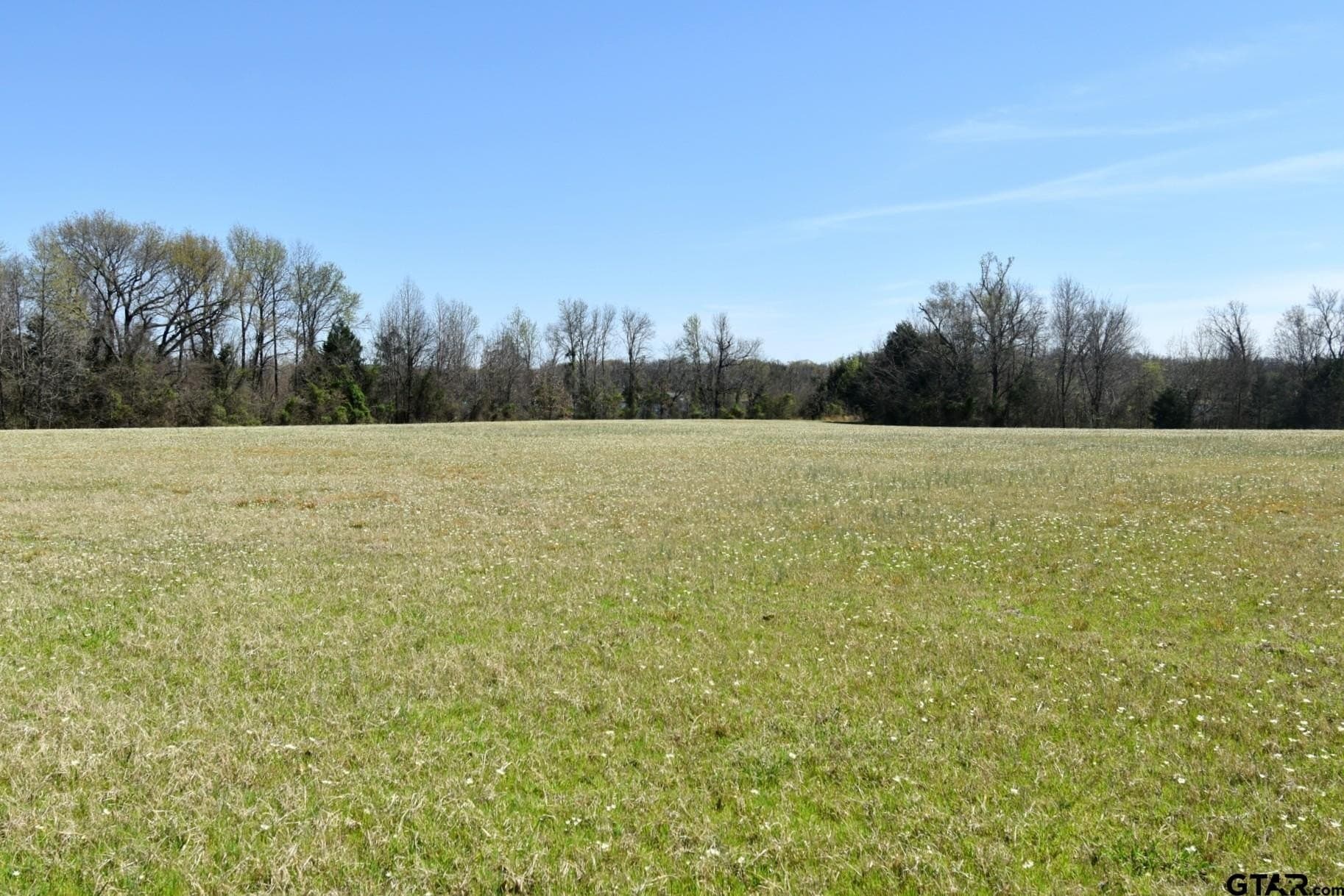 16.27 acres in Rains County - photo 20