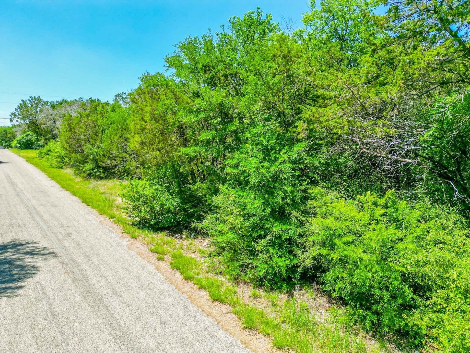 0.03 acres in Hood County - photo 7