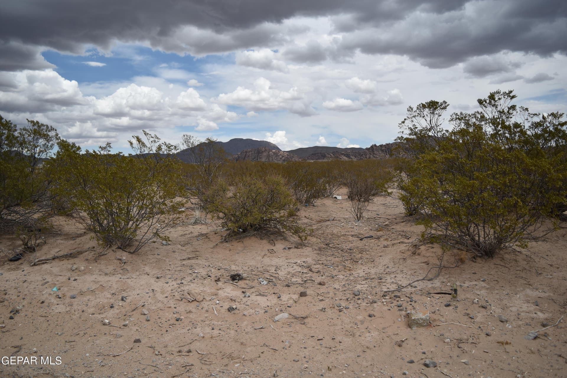 6.25 acres in El Paso County featured view