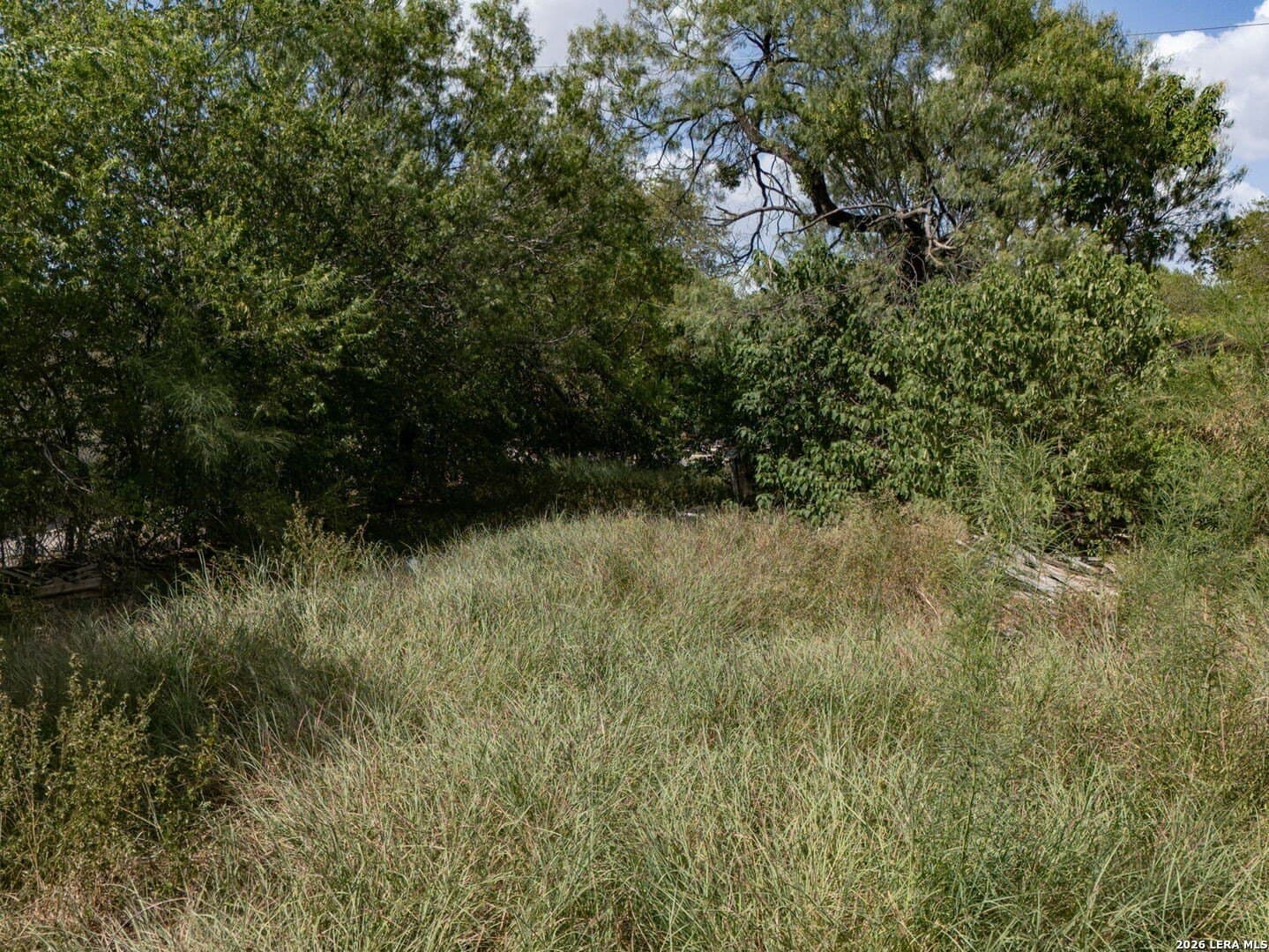 0.14 acres in Bexar County - photo 19