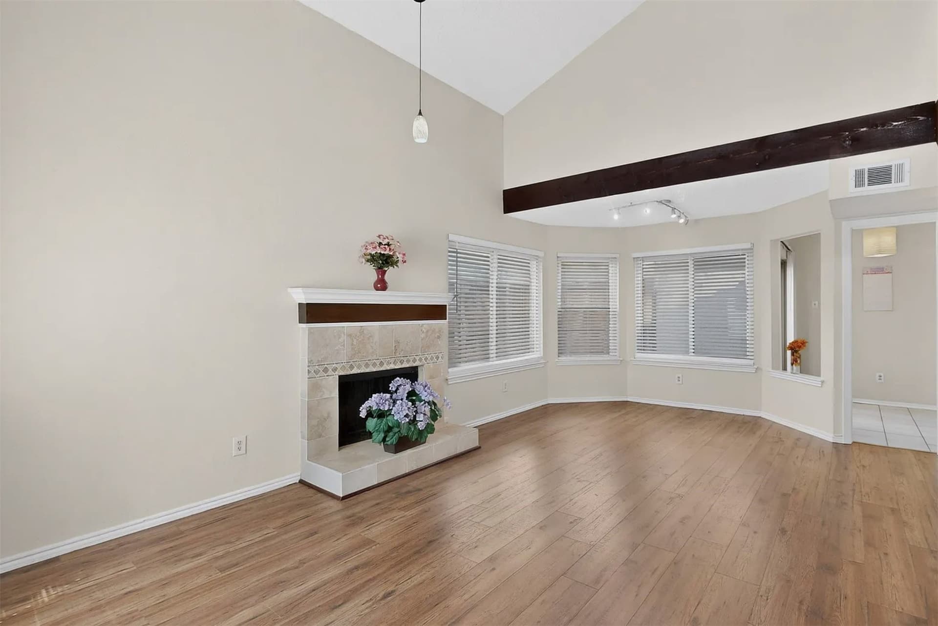 10.63 acres in Dallas County - photo 3