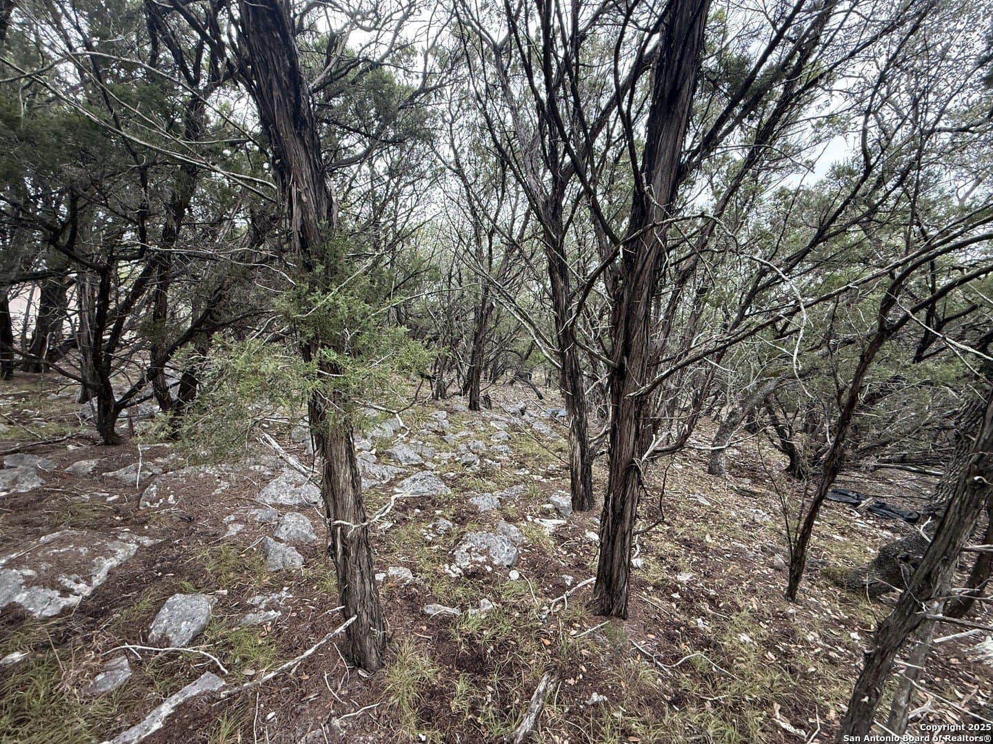 1.58 acres in Comal County - photo 4