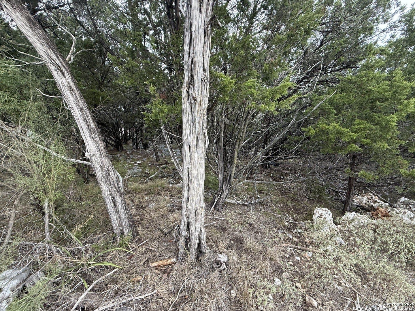 1.58 acres in Comal County - photo 7