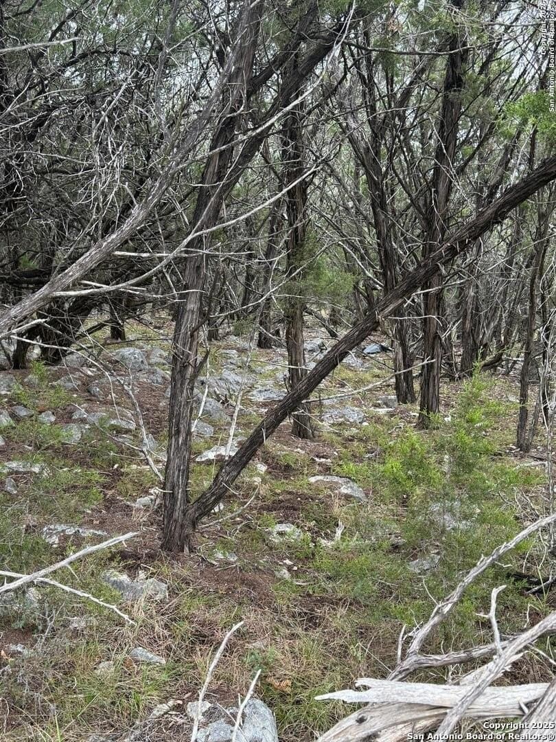 1.58 acres in Comal County - photo 3