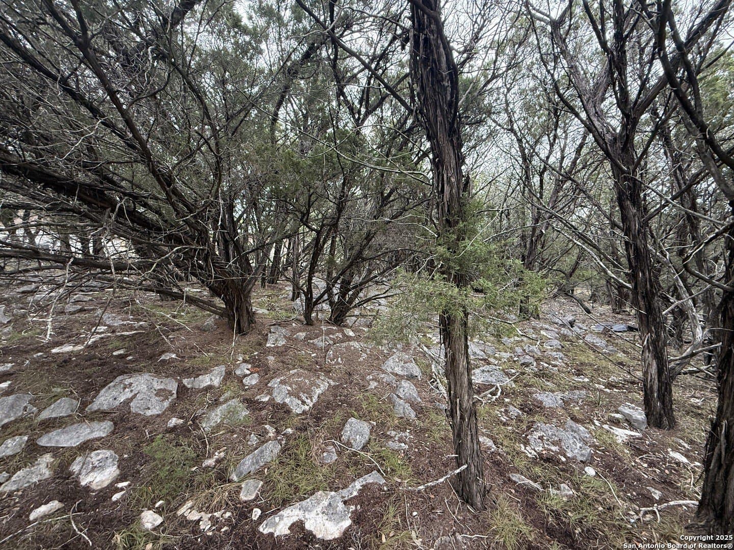 1.58 acres in Comal County - photo 5