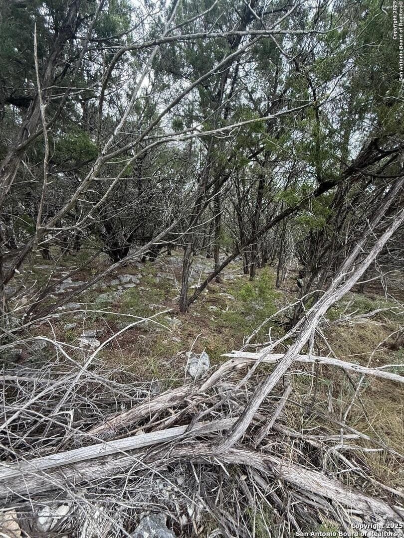 1.58 acres in Comal County - photo 2