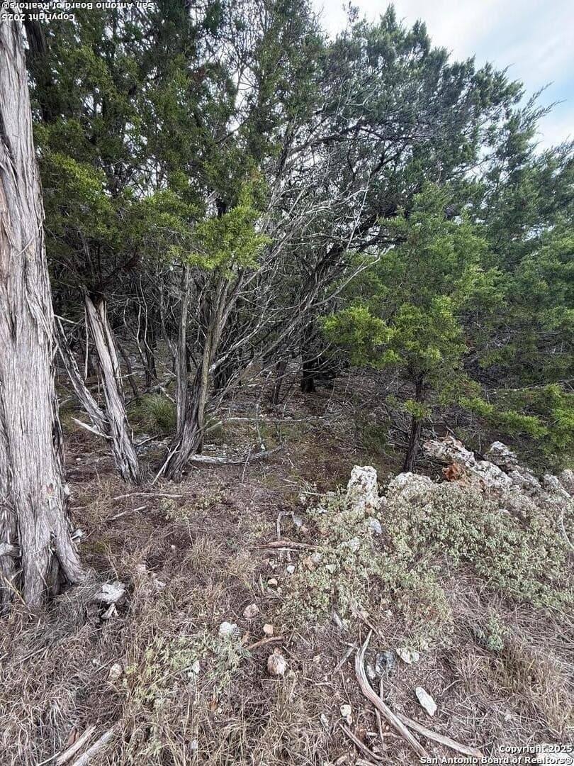 1.58 acres in Comal County - photo 8