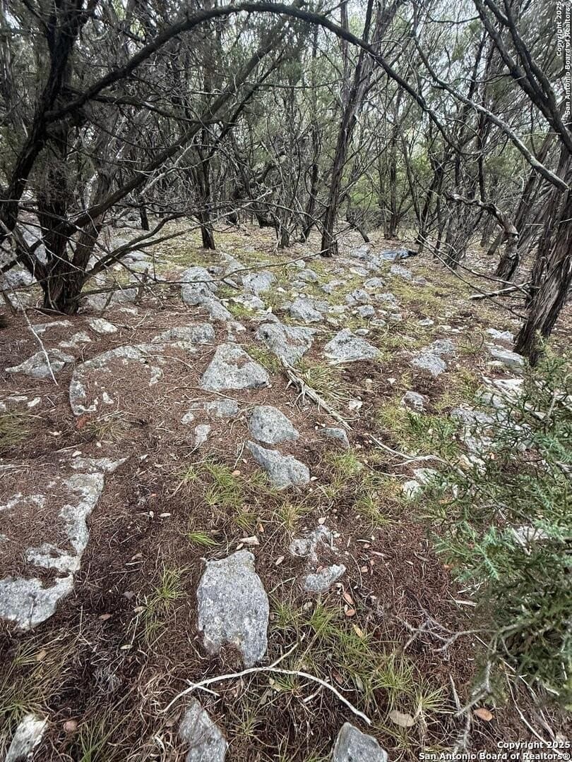 1.58 acres in Comal County - photo 6
