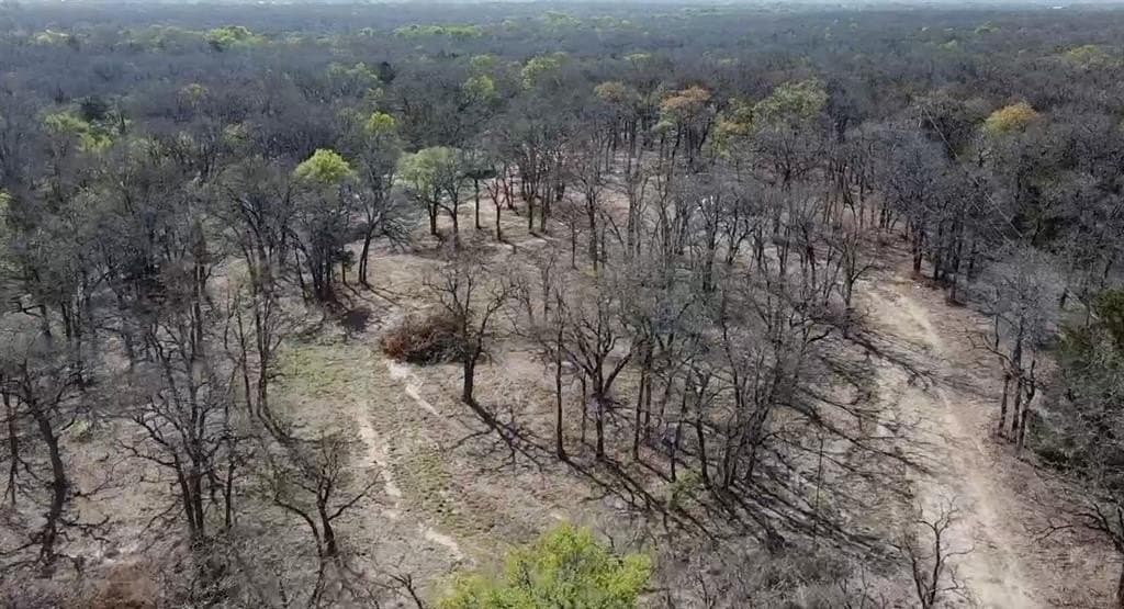 10.73 acres in McLennan County gallery image 4