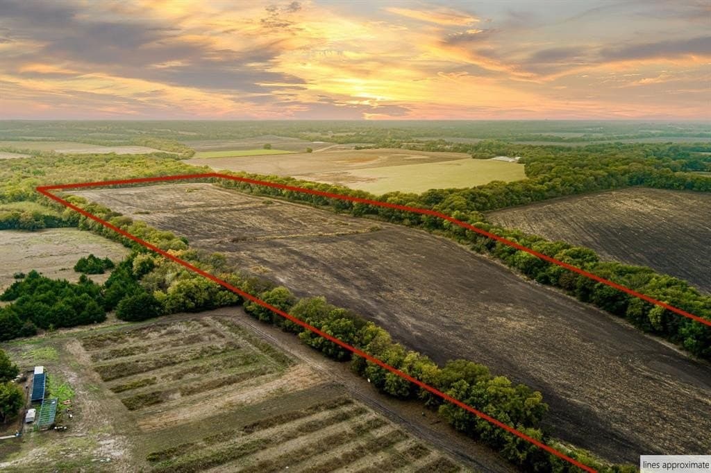 54.76 acres in Fannin County gallery image 3