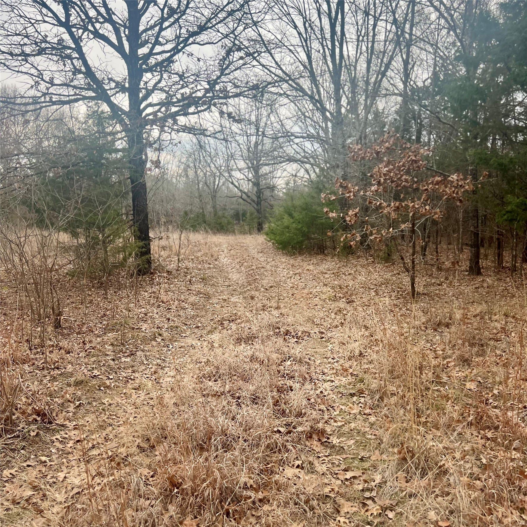 23.35 acres in Hopkins County