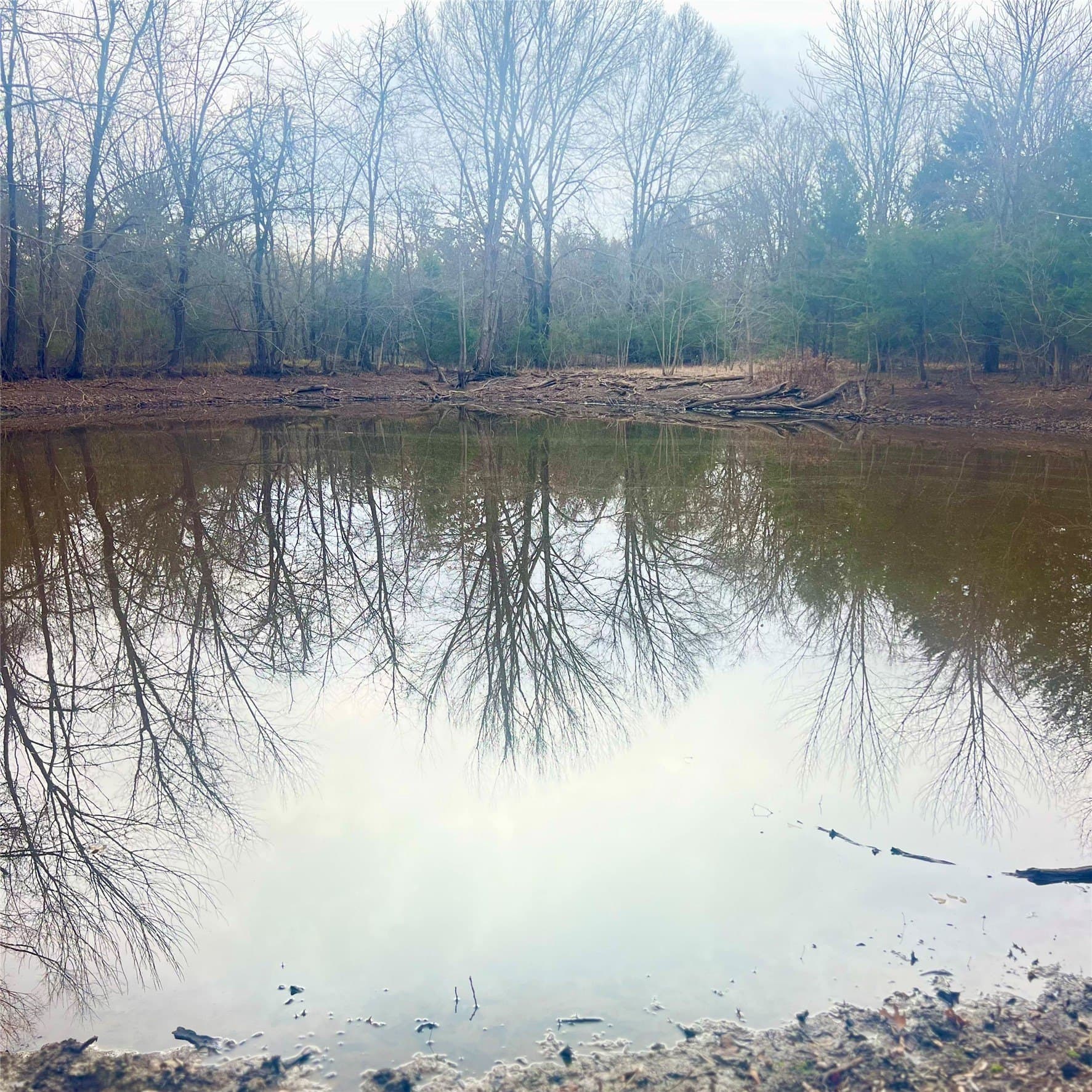 23.35 acres in Hopkins County - photo 4