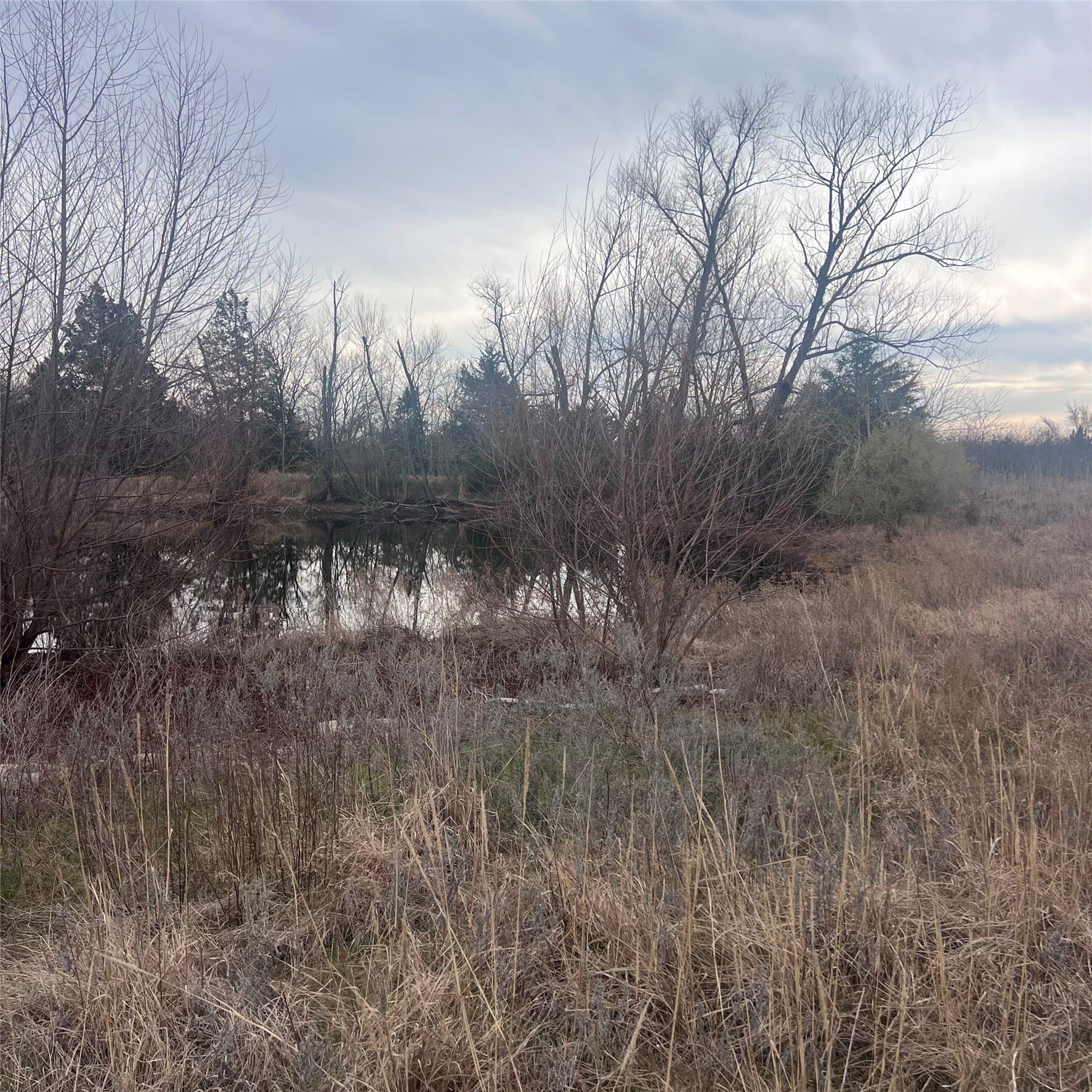23.35 acres in Hopkins County - photo 10
