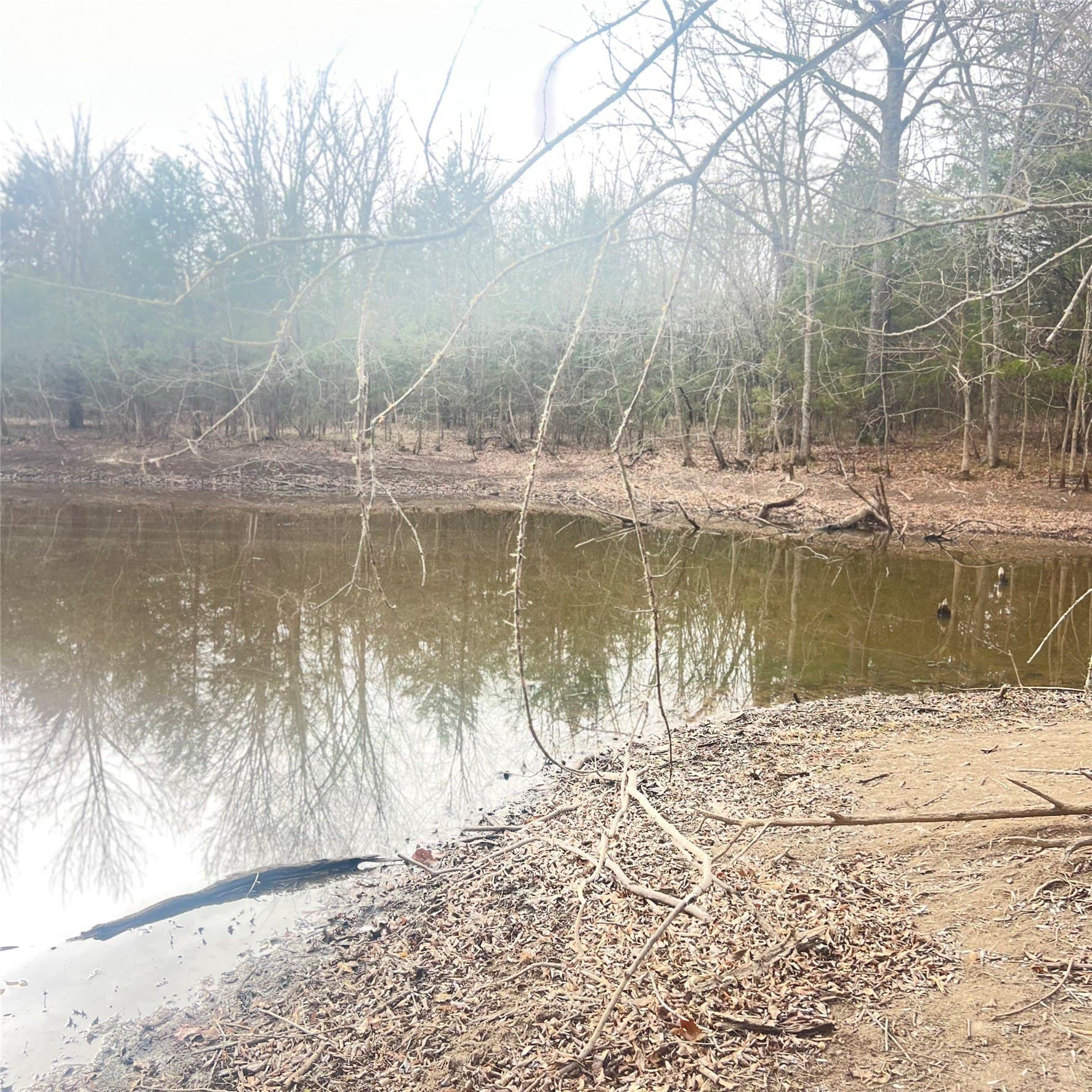 23.35 acres in Hopkins County - photo 5