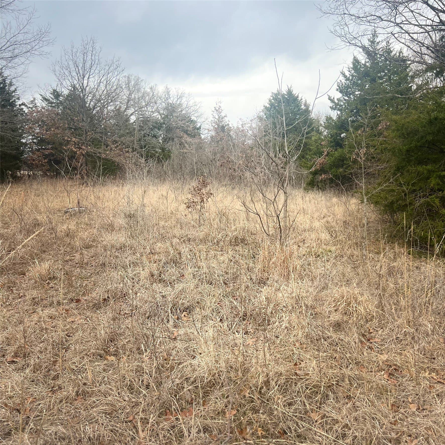 23.35 acres in Hopkins County - photo 3