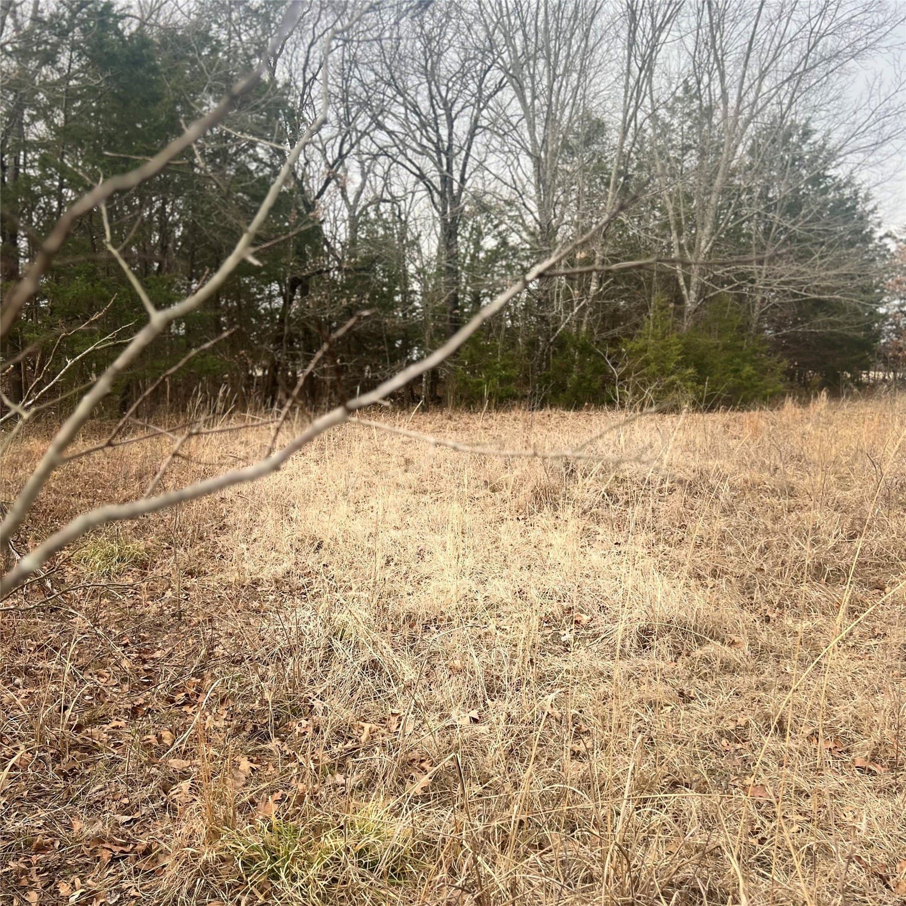23.35 acres in Hopkins County - photo 7