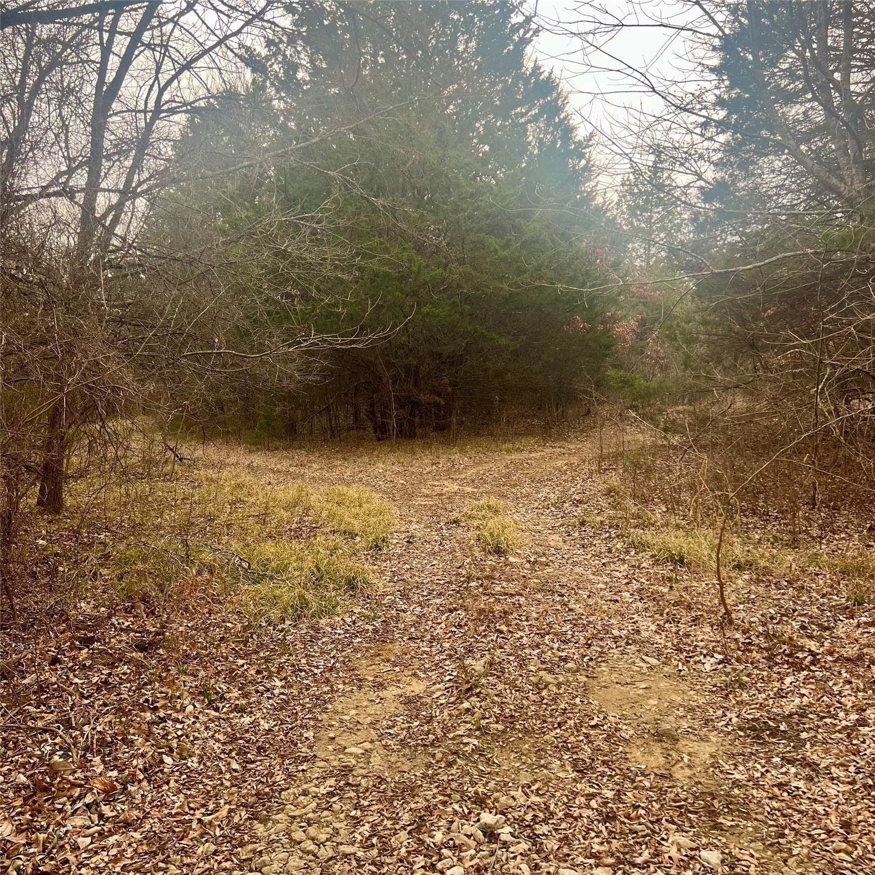 23.35 acres in Hopkins County - photo 2