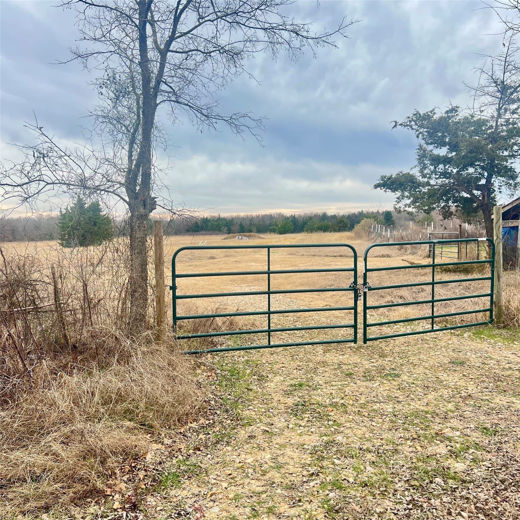 23.35 acres in Hopkins County - photo 13