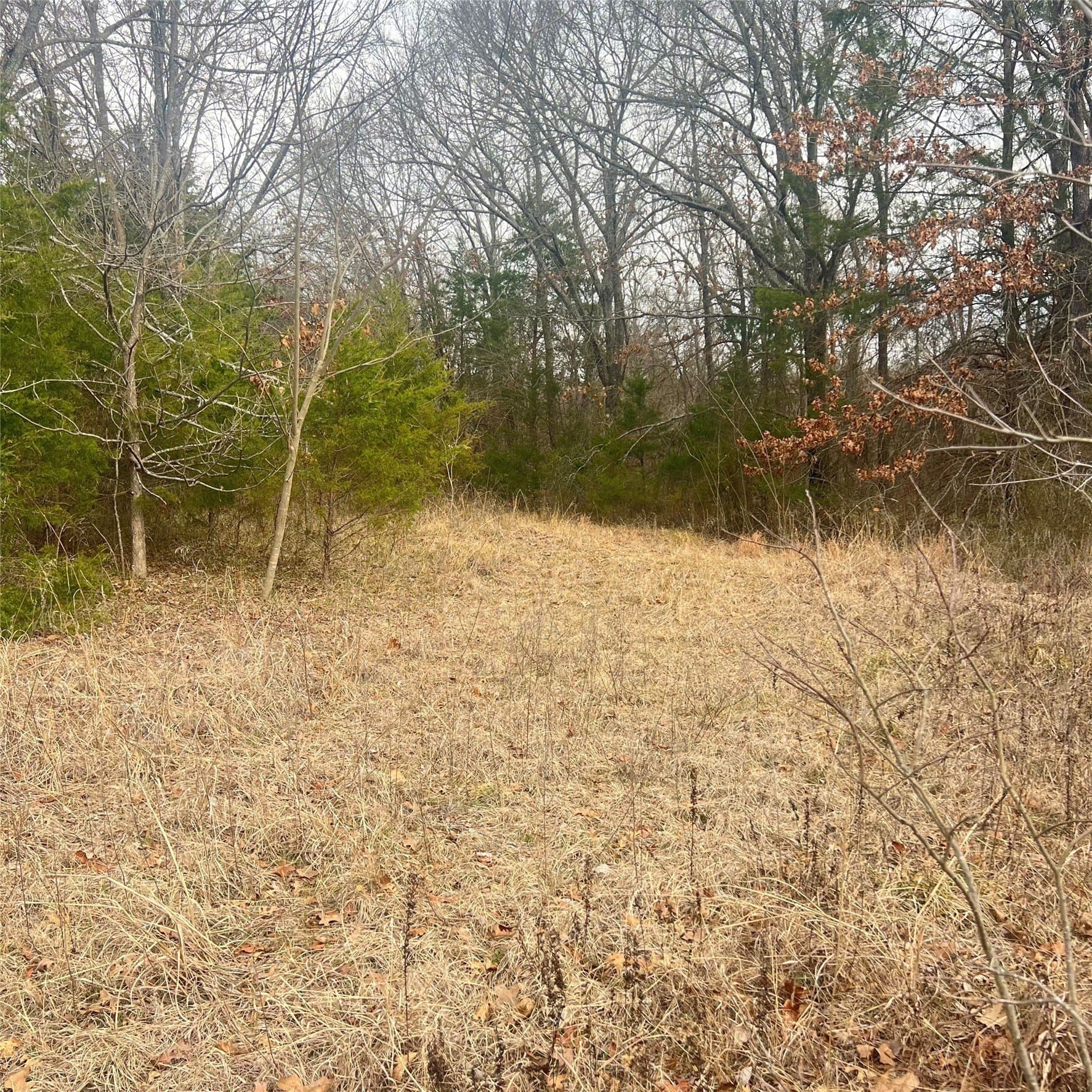 23.35 acres in Hopkins County - photo 6
