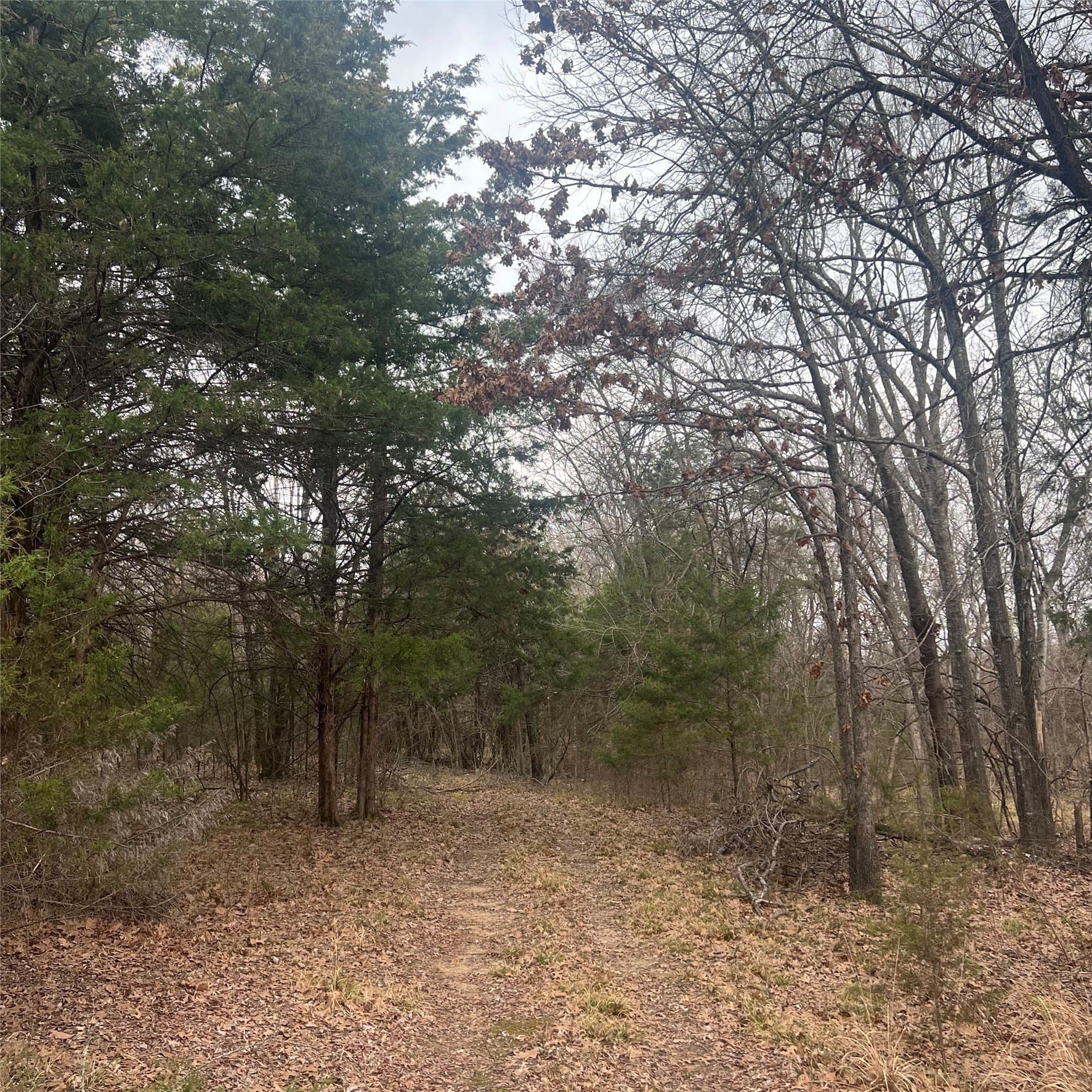 23.35 acres in Hopkins County - photo 9