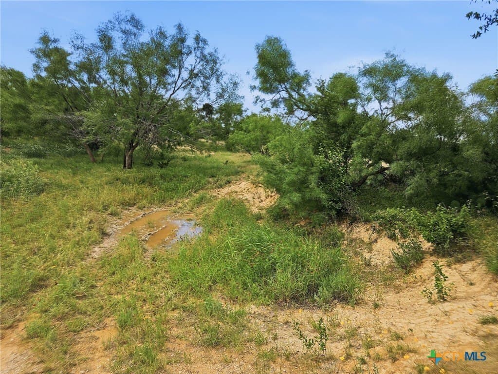 148.43 acres in Lampasas County - photo 25