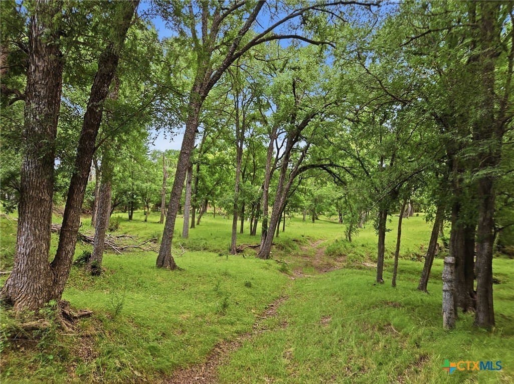 148.43 acres in Lampasas County - photo 44