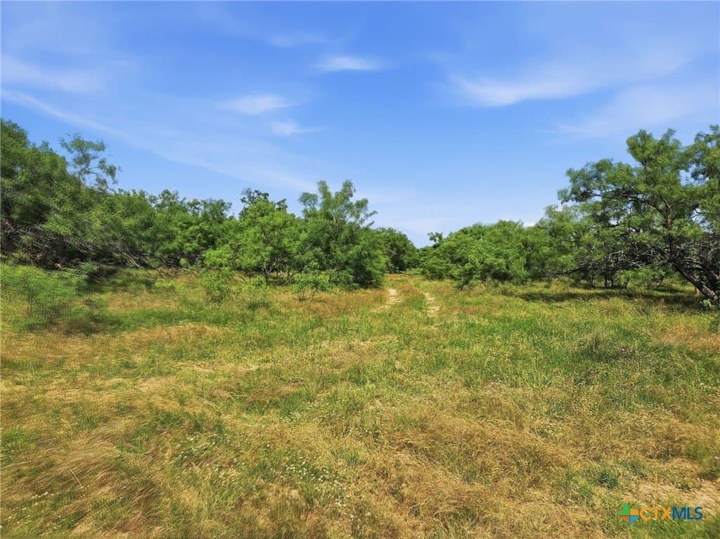 148.43 acres in Lampasas County - photo 22