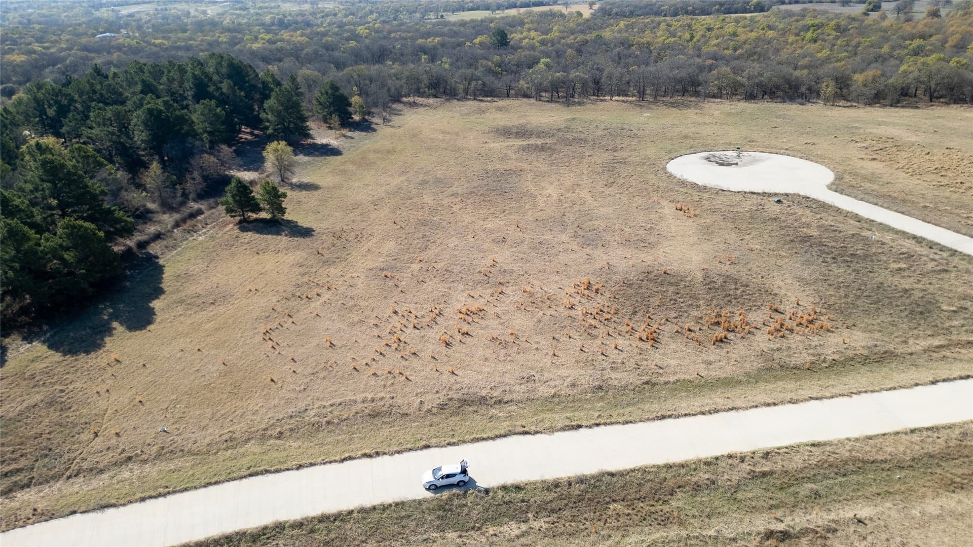 2.02 acres in Parker County - photo 3