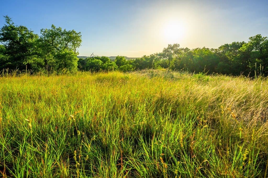 95.49 acres in Gillespie County - photo 8