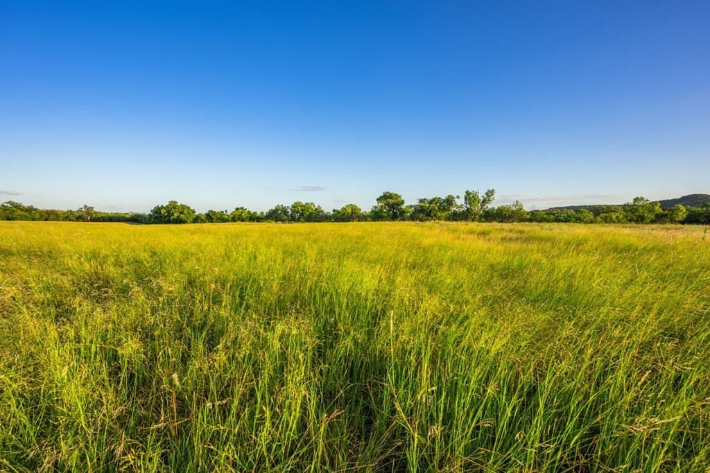 95.49 acres in Gillespie County - photo 10