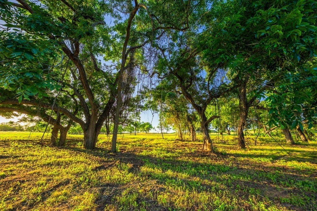 95.49 acres in Gillespie County - photo 32