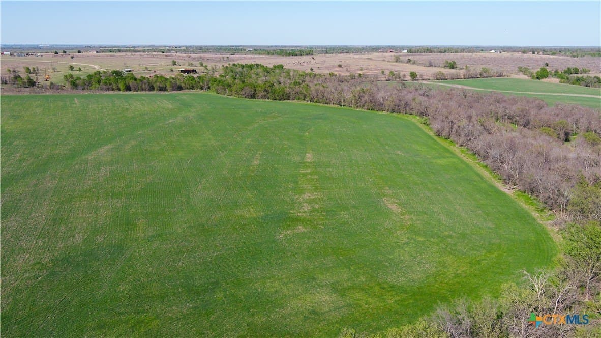 6 acres in Milam County - photo 13