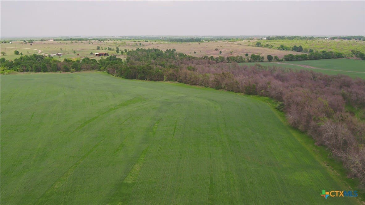 6 acres in Milam County - photo 5