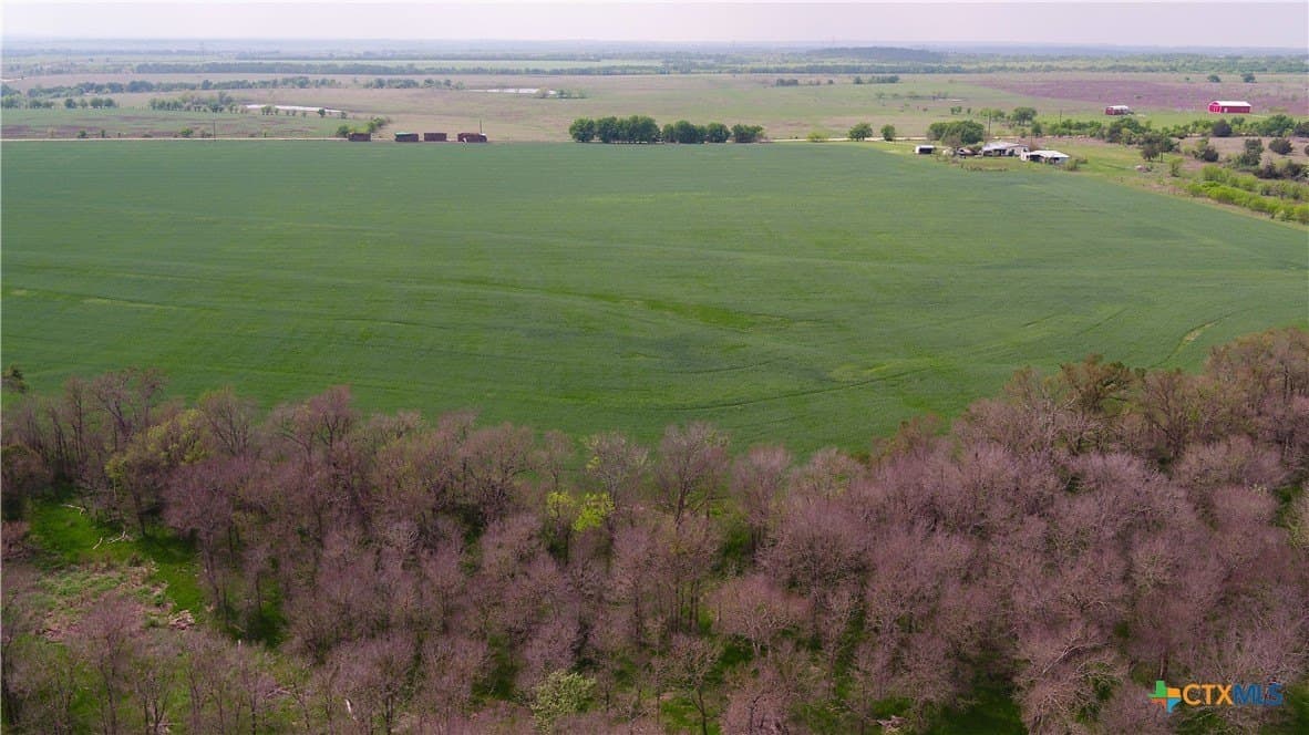 6 acres in Milam County - photo 9