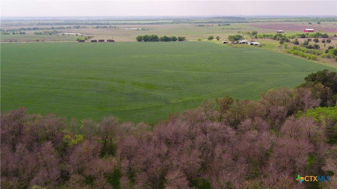 6 acres in Milam County - photo 7