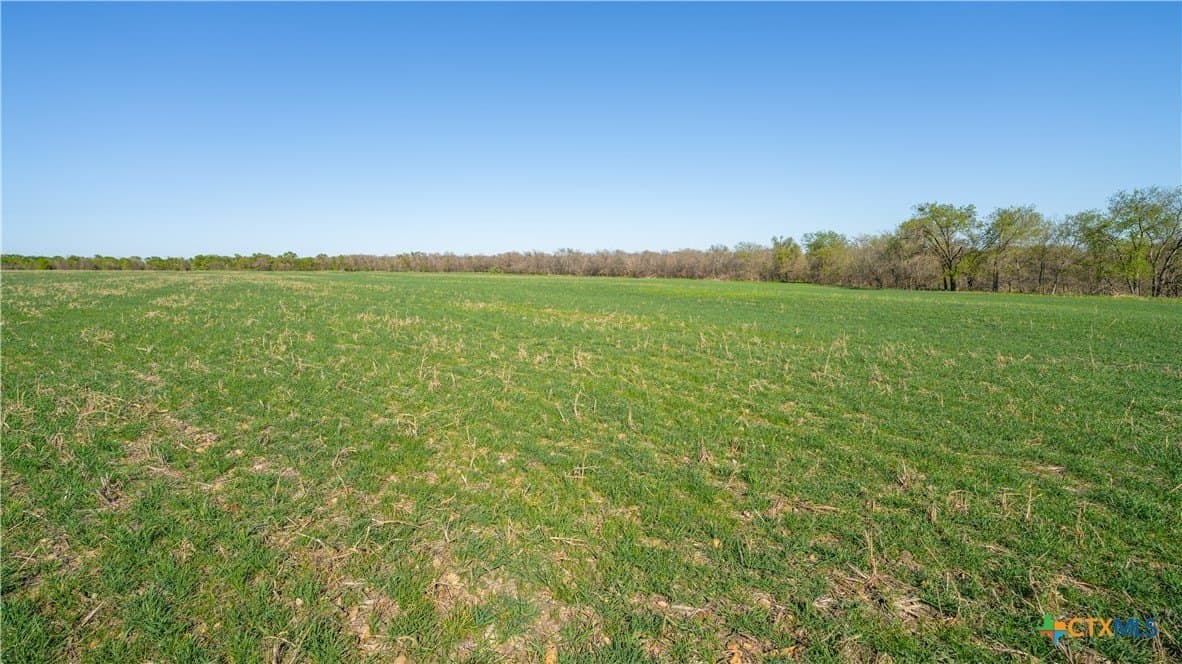 6 acres in Milam County - photo 4