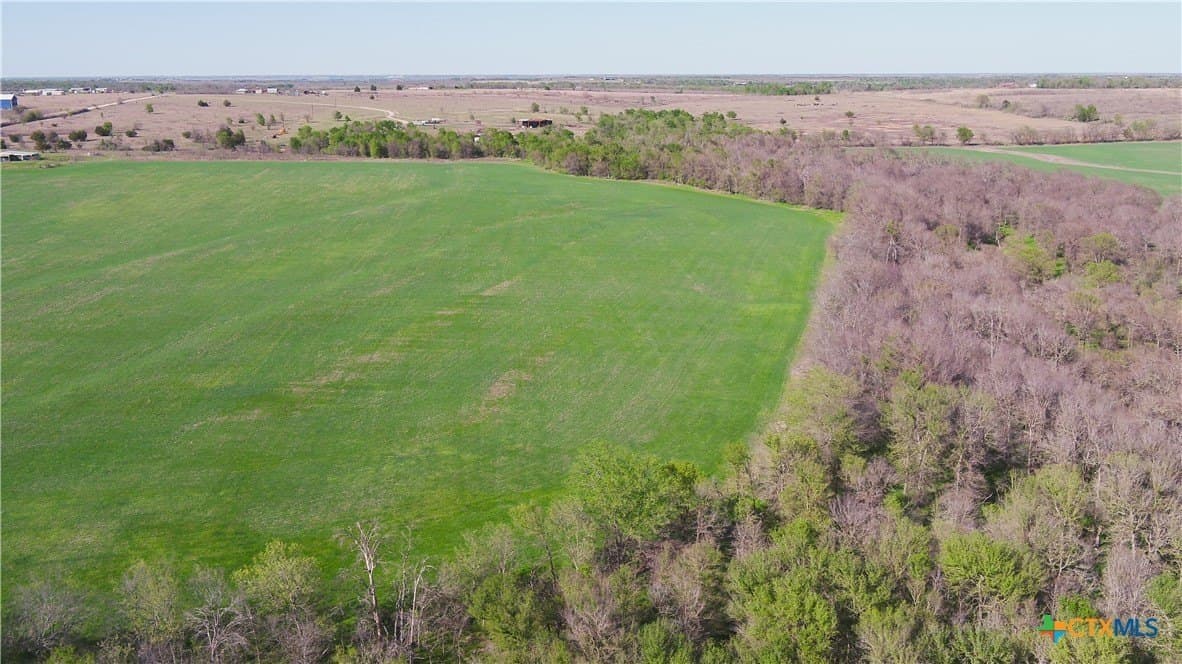 6 acres in Milam County - photo 16