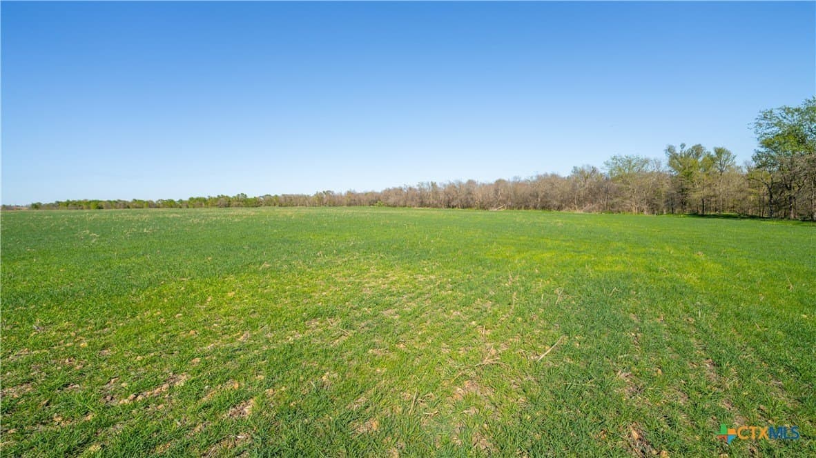 6 acres in Milam County - photo 8
