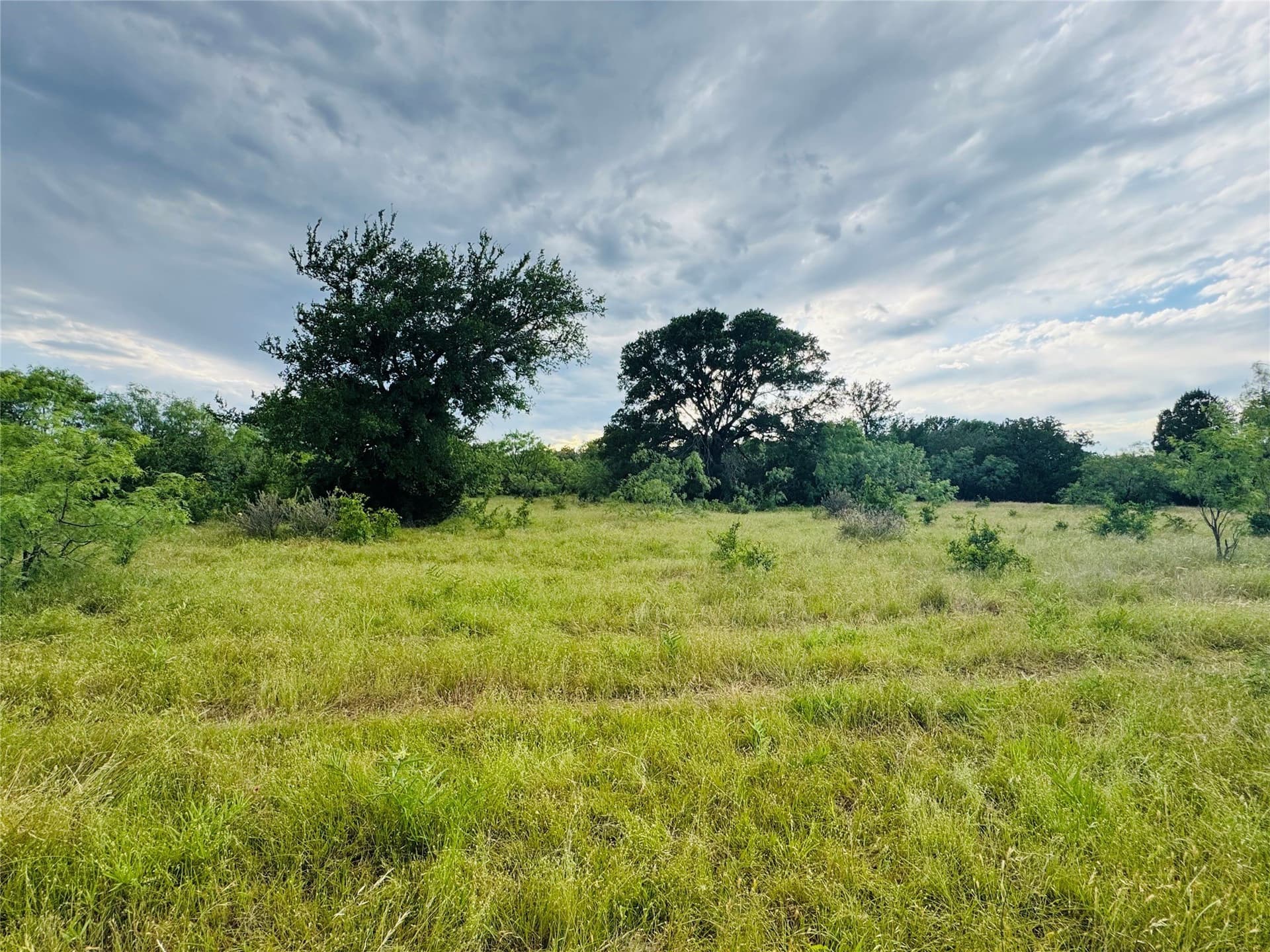 36.58 acres in Eastland County gallery image 3