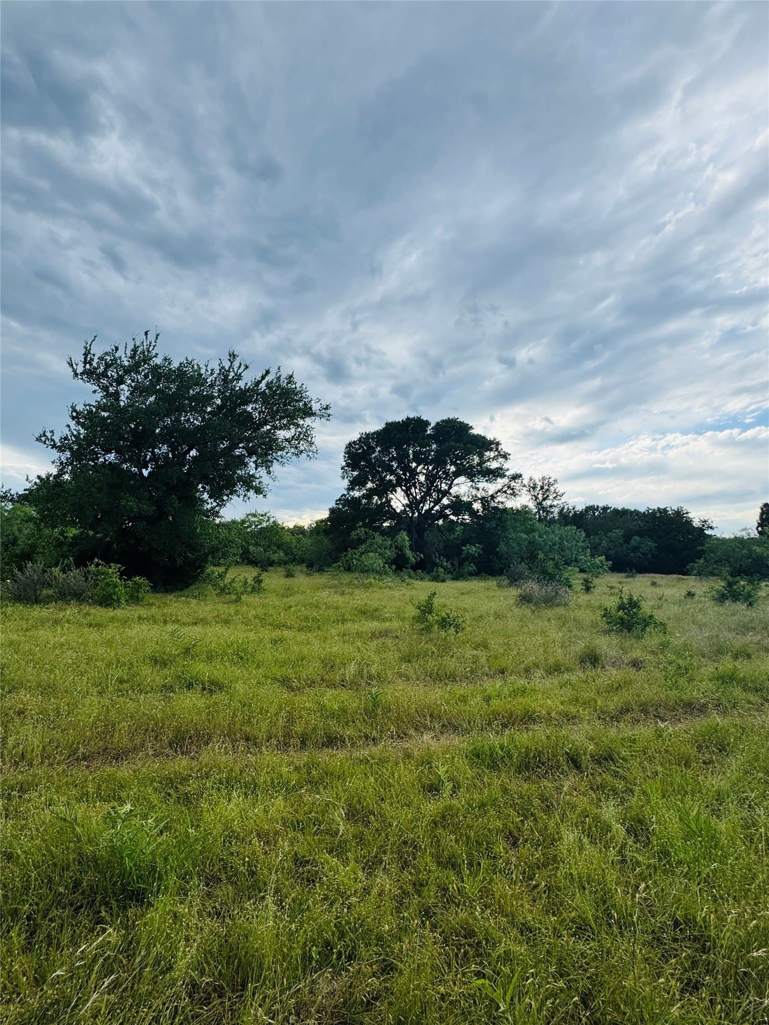 36.58 acres in Eastland County featured view