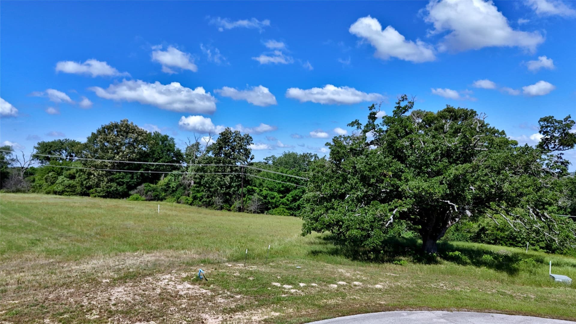 1.02 acres in Henderson County - photo 8