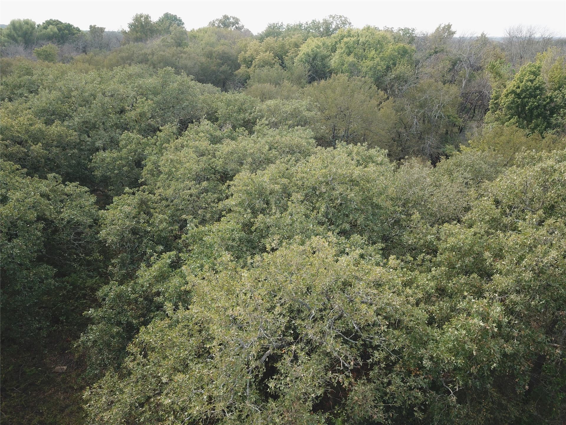 0.97 acres in Cooke County - photo 9