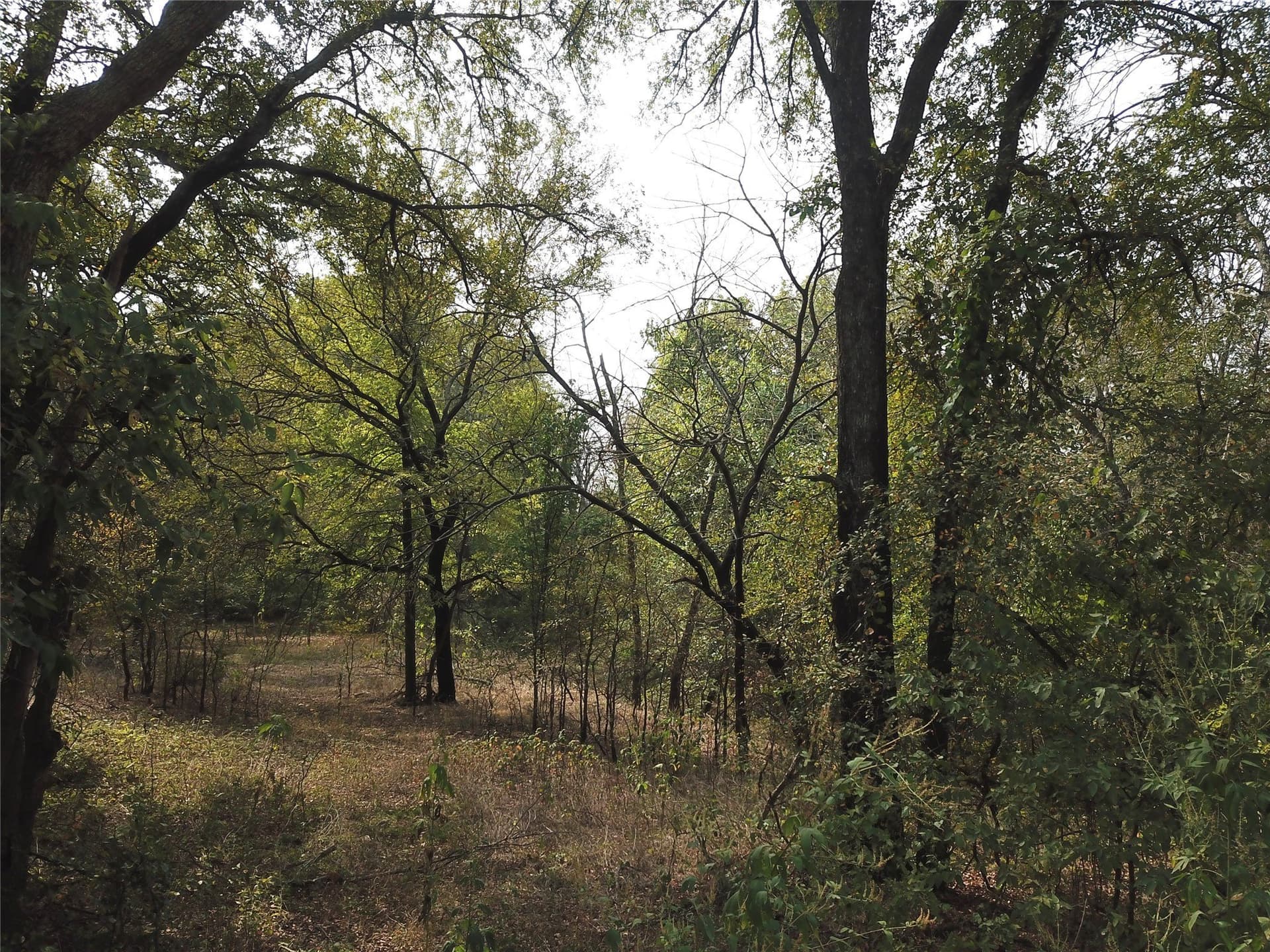 0.97 acres in Cooke County - photo 14