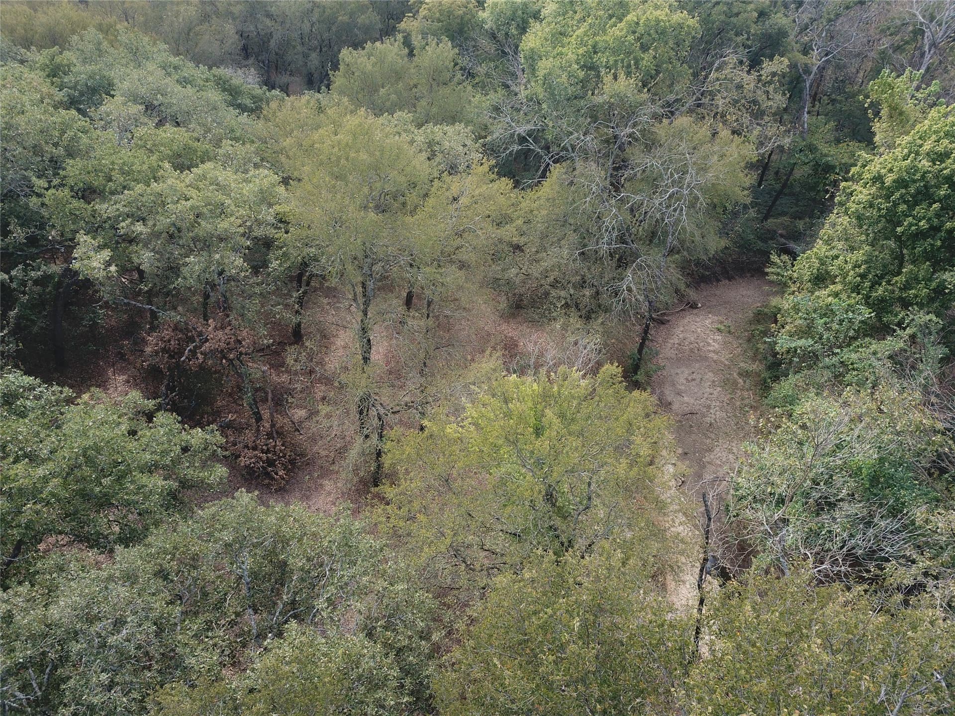 0.97 acres in Cooke County - photo 10